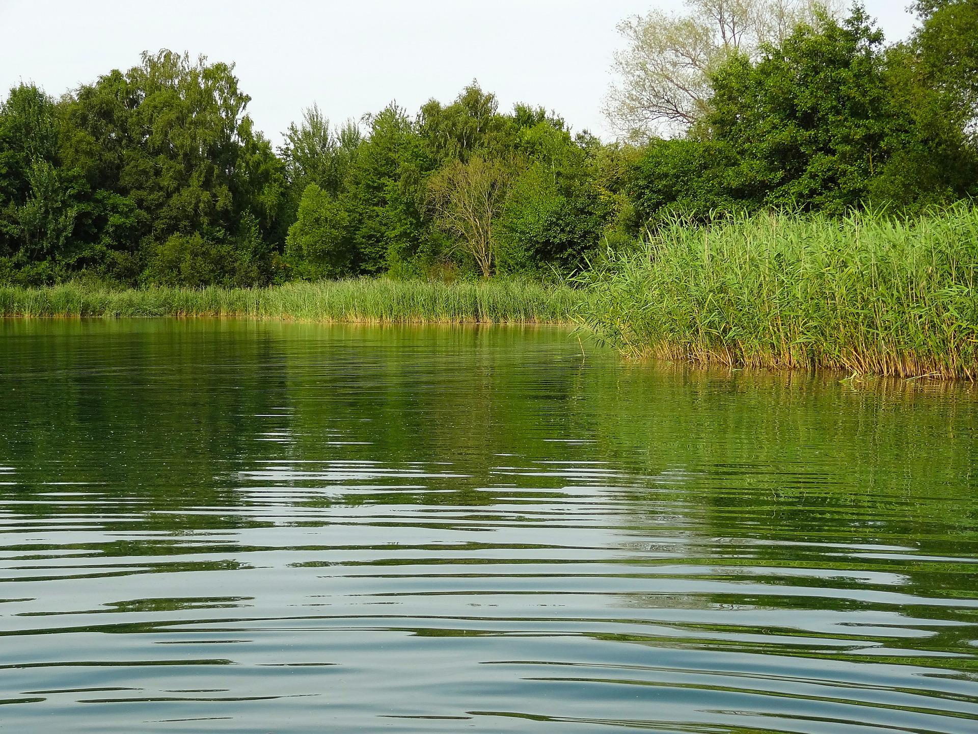 Wasserqualität - Gablinger Badesee