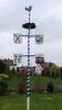 Maibaum 8