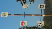 Maibaum 7