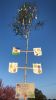 Maibaum 10